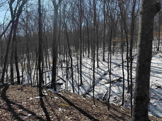 Listing Image 21