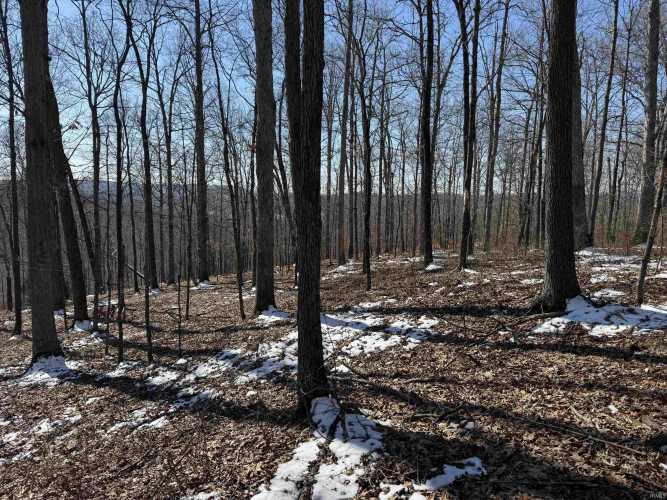 Listing Image 33