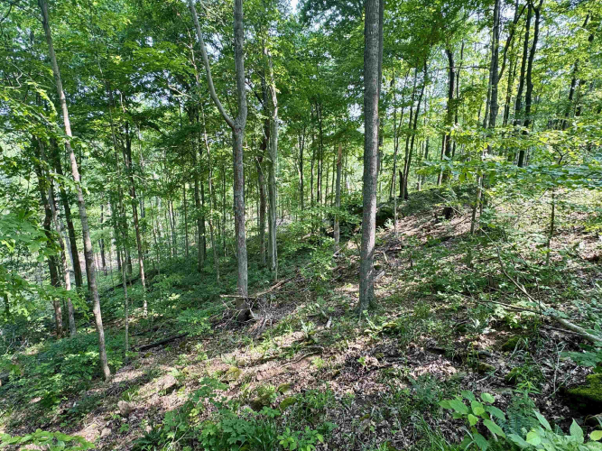 Listing Image 11
