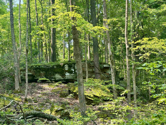 Listing Image 15