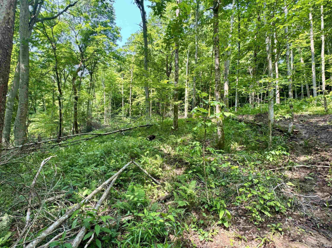 Listing Image 18