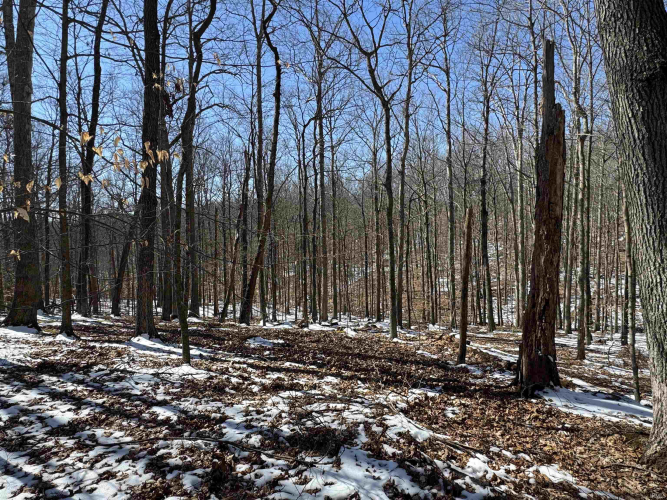 Listing Image 14
