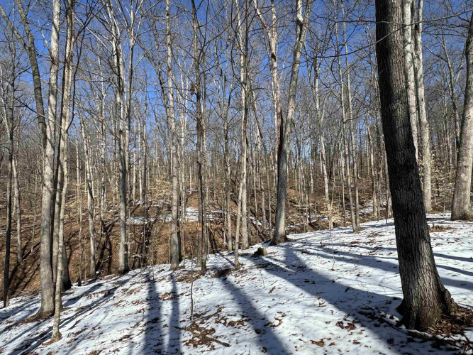 Listing Image 15
