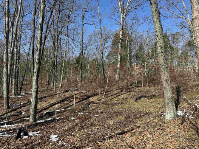 Listing Image 17