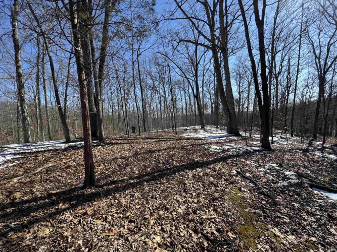 Listing Image 14