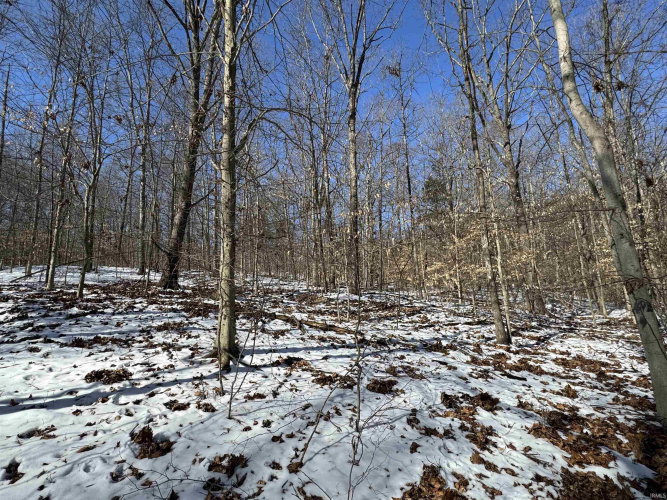 Listing Image 19