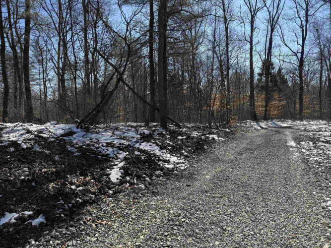 Listing Image 22