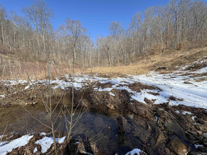 Listing Image 17