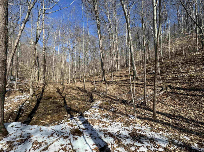 Listing Image 18
