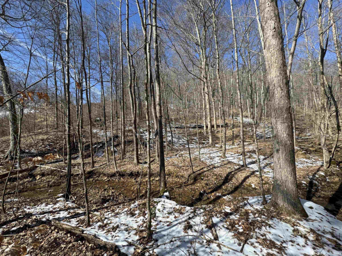 Listing Image 19