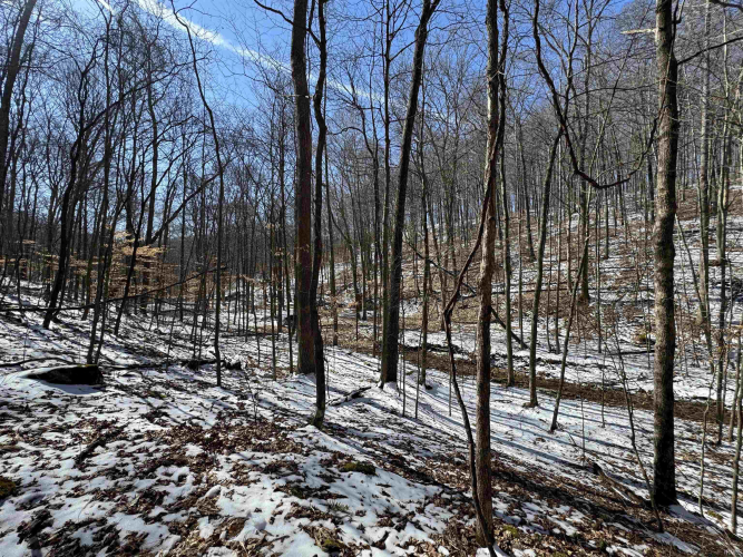 Listing Image 22