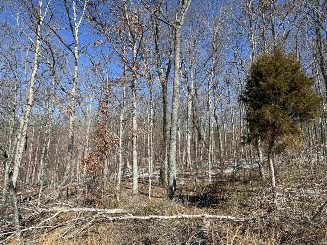 Listing Image 6