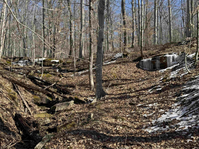 Listing Image 9
