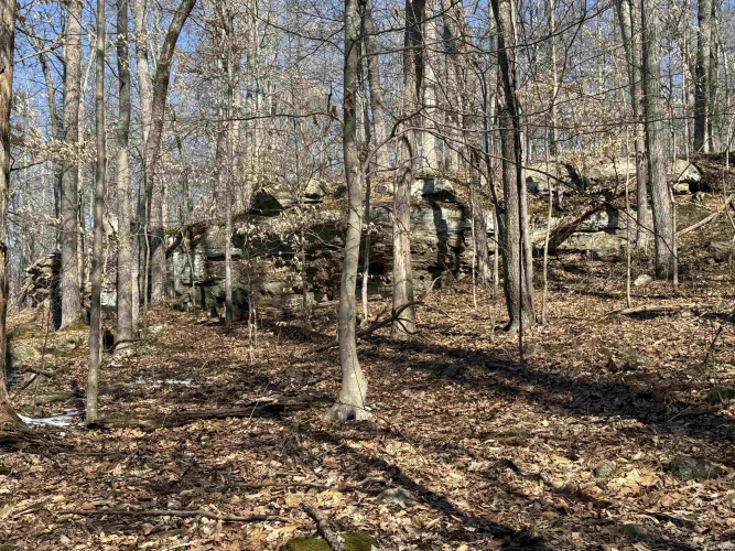 Listing Image 10
