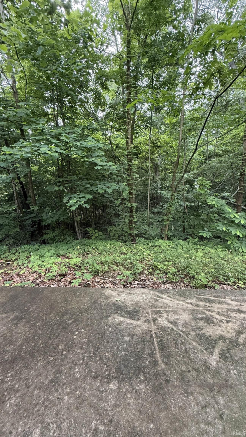 Listing Image 25