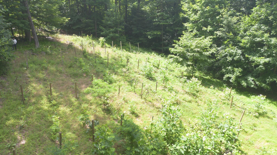 Listing Image 31