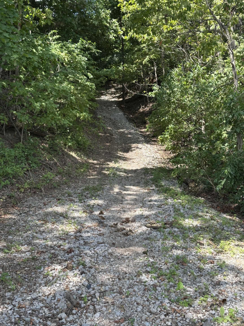 Listing Image 32
