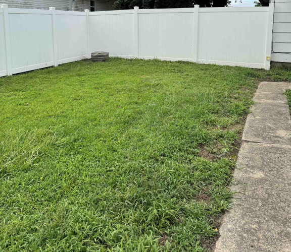 Listing Image 25