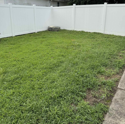 Listing Image 28