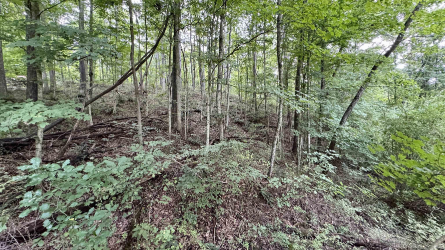 Listing Image 17