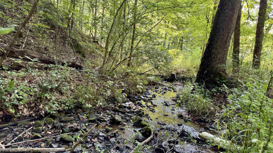 Listing Image 18