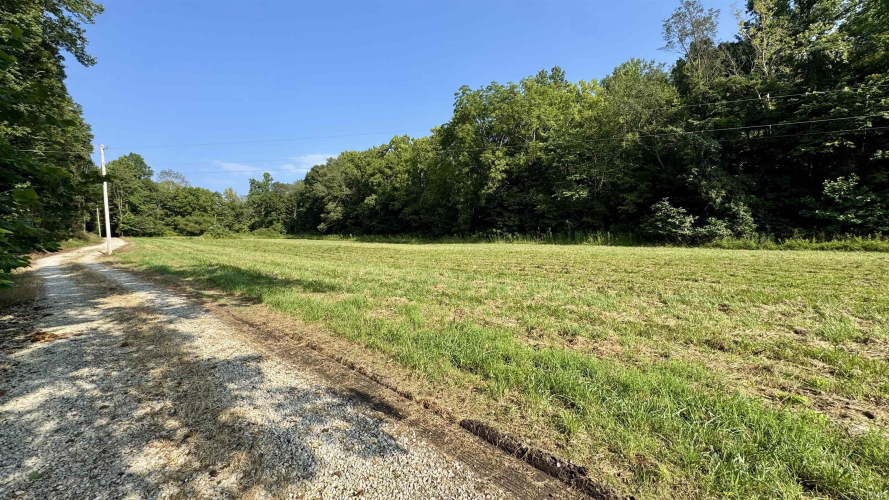 Listing Image 27