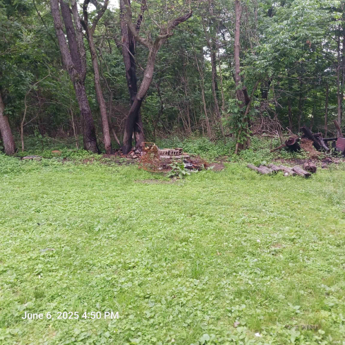 Listing Image 14