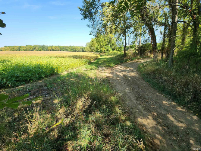 Listing Image 21