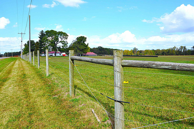 Listing Image 34