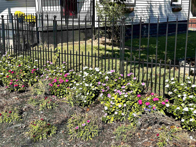 Listing Image 6