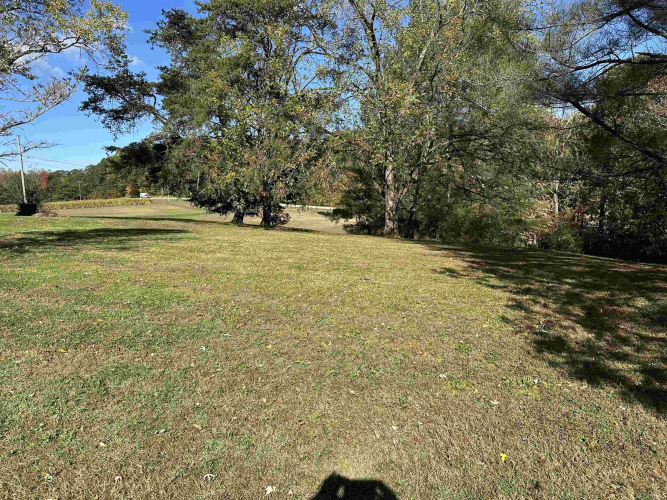 Listing Image 29