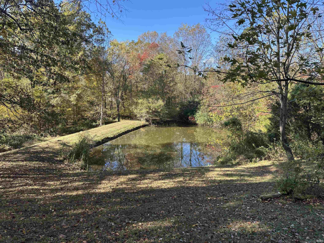 Listing Image 32
