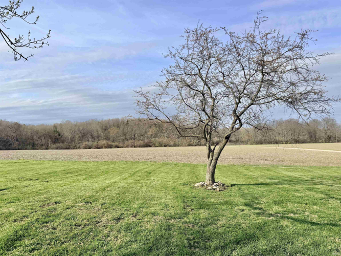 Listing Image 29