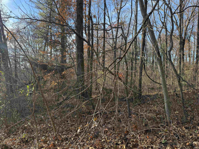 Listing Image 35