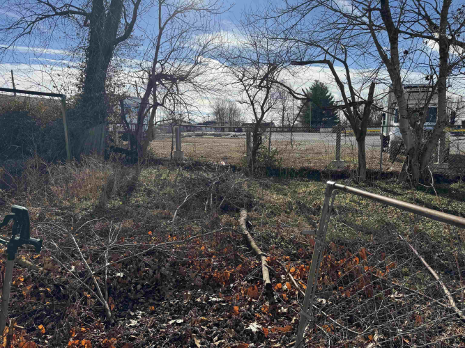 Listing Image 14