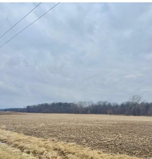 Listing Image 17