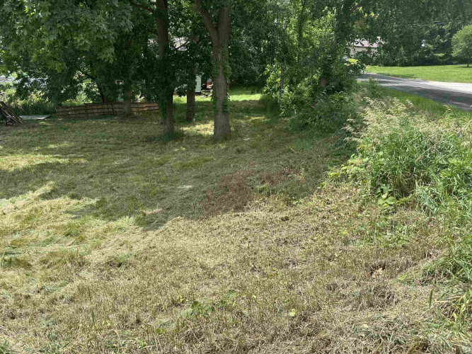 Listing Image 20