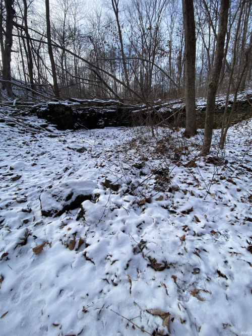 Listing Image 26