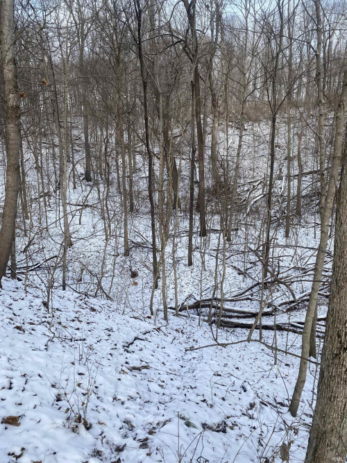 Listing Image 31