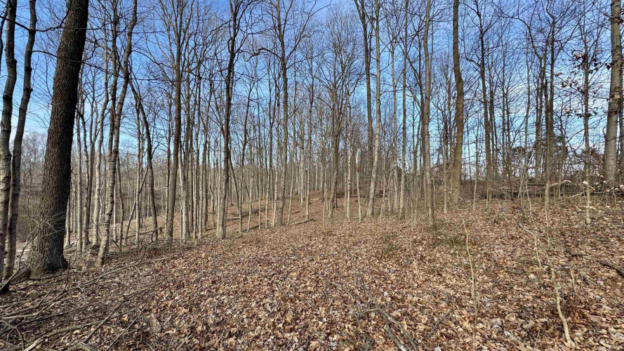 Listing Image 14