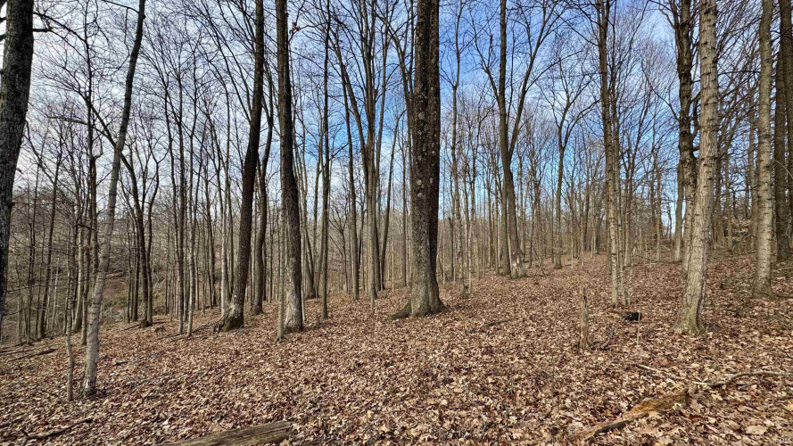 Listing Image 16