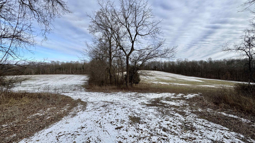 Listing Image 17