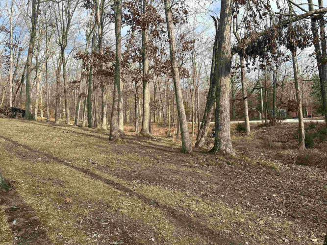 Listing Image 5