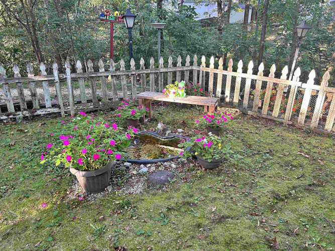 Listing Image 24