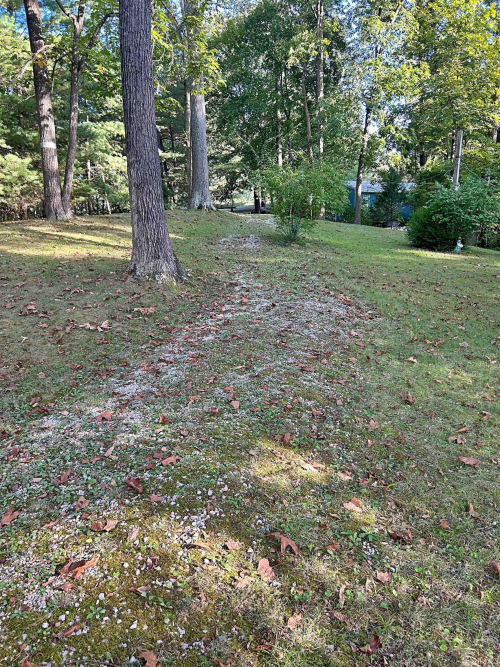 Listing Image 29
