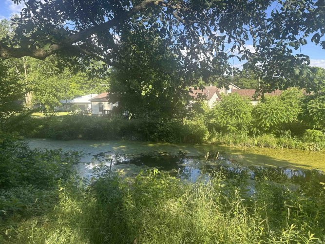 Listing Image 34