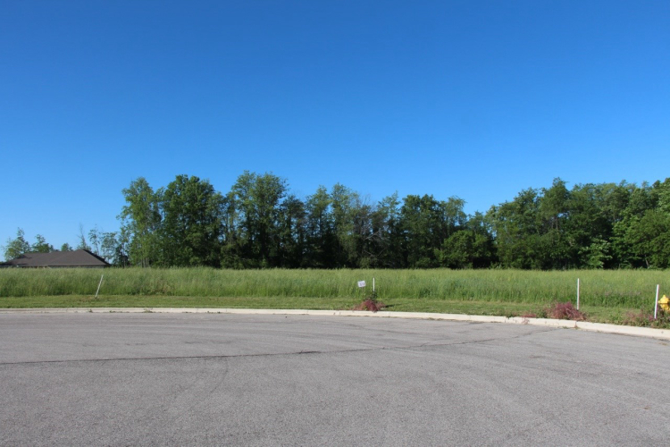 Listing Image 13