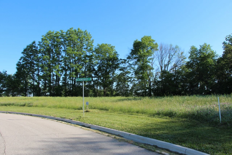 Listing Image 16