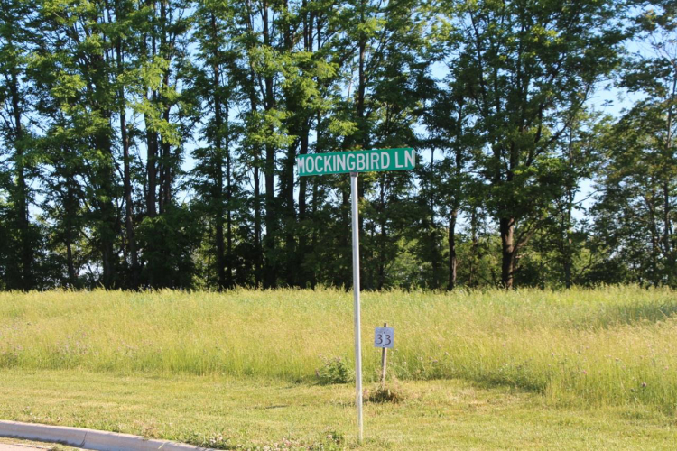 Listing Image 18