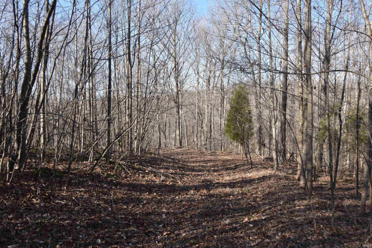 Listing Image 13